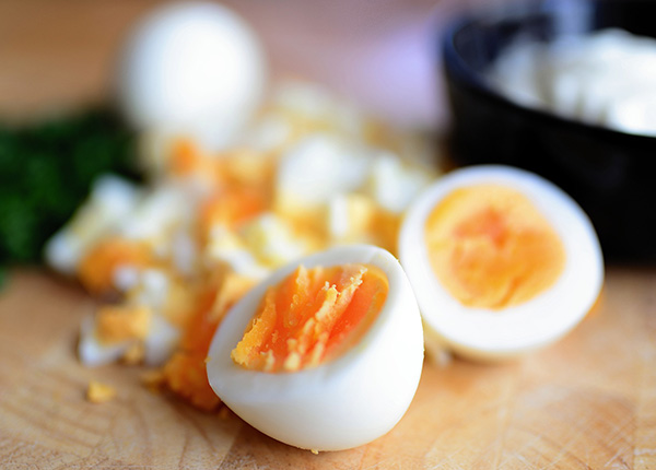 Bahayakah kolesterol telur