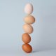 Alasan telur makanan tersehat di dunia