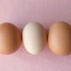 Warna Telur Cokelat dan Putih