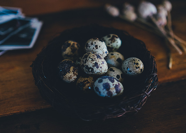 Cara merebus telur puyuh mempengaruhi asupan nutrisi yang diserap oleh tubuh.