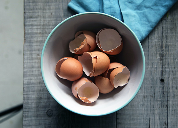 Cangkang telur bermanfaat