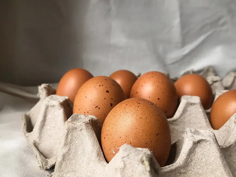 Cara menyimpan telur yang baik