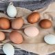 Membandingkan Telur Bebek vs Telur Ayam. Mana Lebih Baik