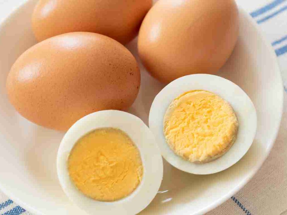 protein putih telur rebus