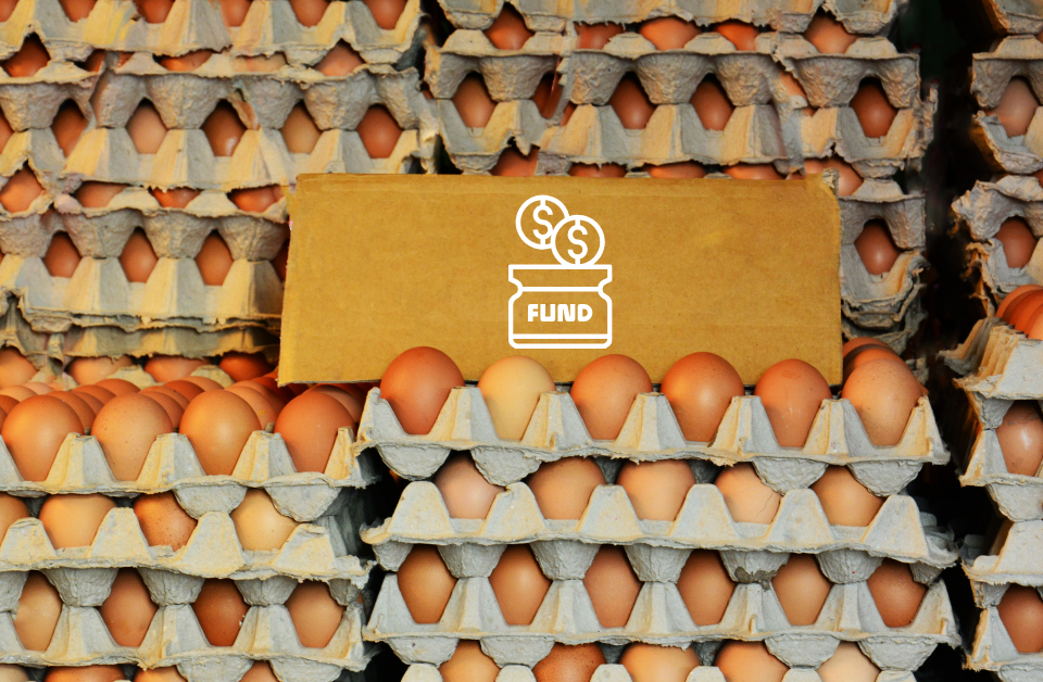 modal-usaha-telur-ayam-Indofarm